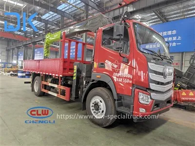 Foton Auman 4.5-meter Wheelbase Vison Supreme Edition 10 Tunnellati